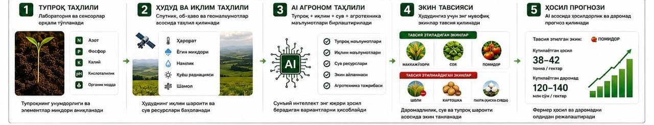 Пятиэтапный процесс AgroAI от анализа почвы до прогноза урожая, на узбекском